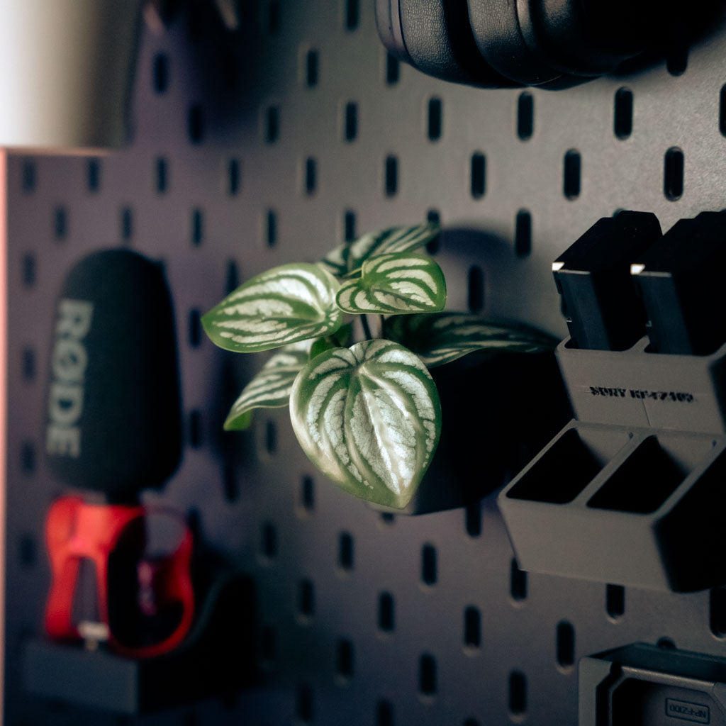 DSLR / Mirrorless Camera Battery Holder
