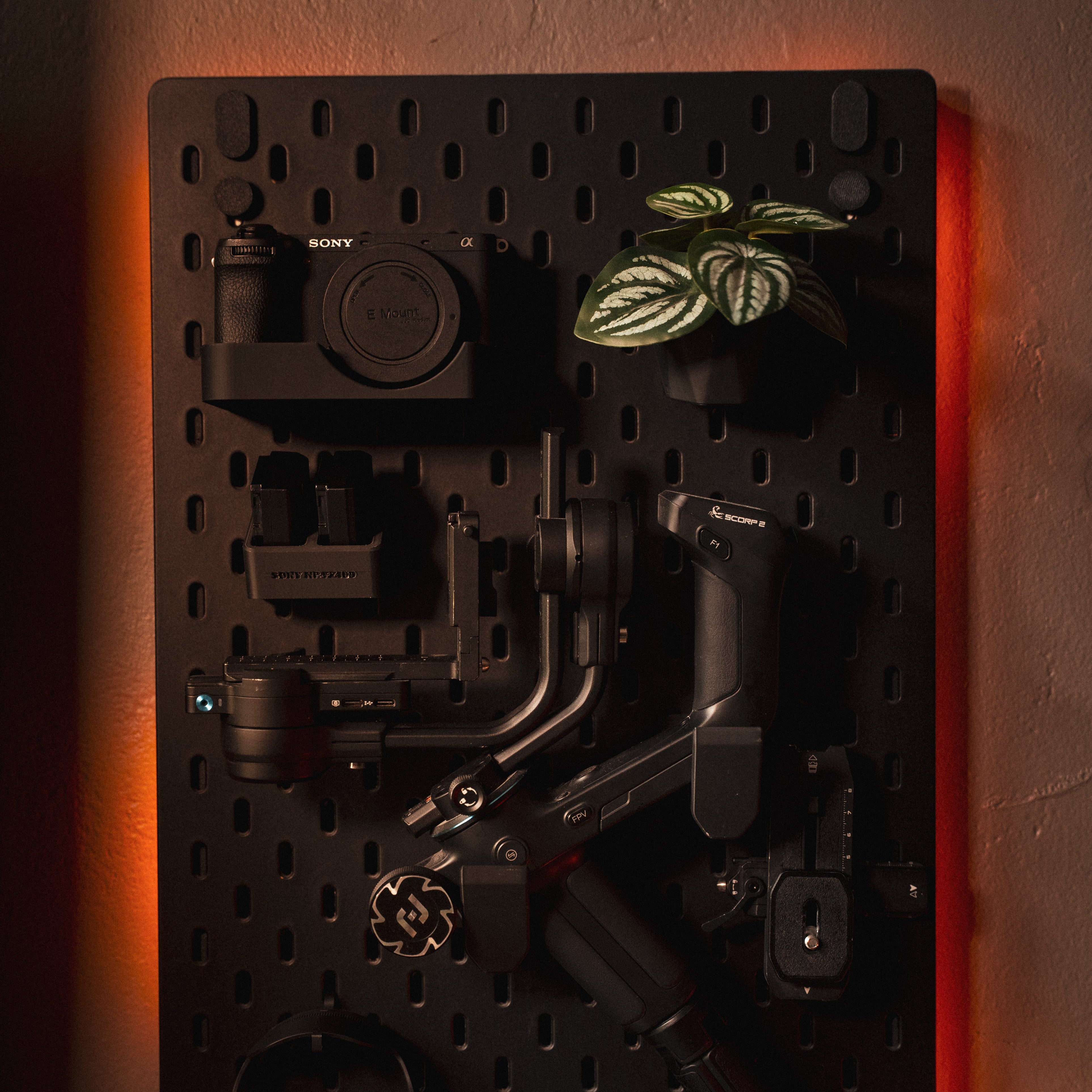 Peglight Pro - 36x56